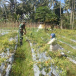 WhatsApp Image 2026-02-28 at 15.49.20