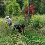 WhatsApp Image 2026-03-02 at 17.38.38