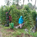 WhatsApp Image 2026-03-13 at 19.52.24